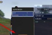 《猎人手游时装属性选择指南》（选择适合自己的时装属性）