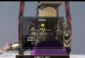 《真三国无双8》帝国金色宝玉器刷法大揭秘（10分钟掌握金色宝玉器刷法）