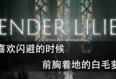 盐和避难所加入教会有什么好处？教会入会的作用是什么？