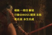 《只狼源之乡》水生宅刷经验攻略（轻松升级）
