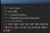 《古墓丽影9》中文主题设置教程（如何将游戏语言设置为中文）