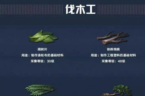 探索明日之后的职业选择之路（选择哪个职业好）  第1张