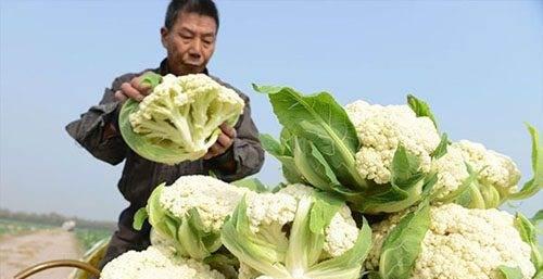 重生细胞（探索细胞世界）  第3张