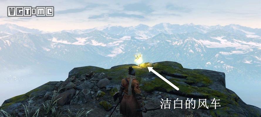 只狼（探寻隐藏门的奥秘）  第2张