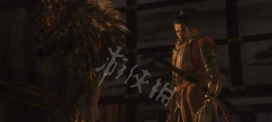只狼（入门必看）  第2张