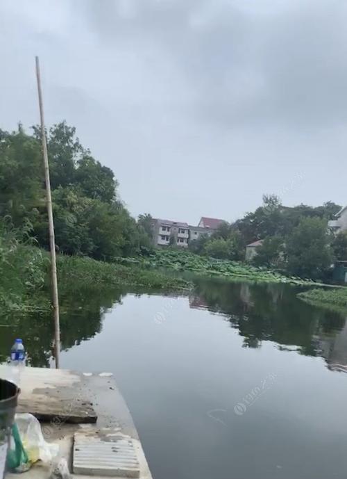揭秘最流行鱼塘套路（以这片鱼塘我承包了为例）  第1张