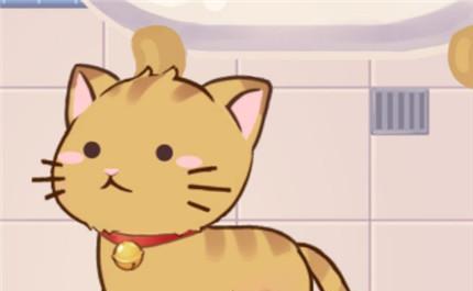 猫宅97猫咪如何获得？获取猫猫宅97的正确步骤是什么？  第1张