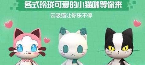 小猫失踪了怎么办？愤怒行为揭示了哪些基因属性？  第3张