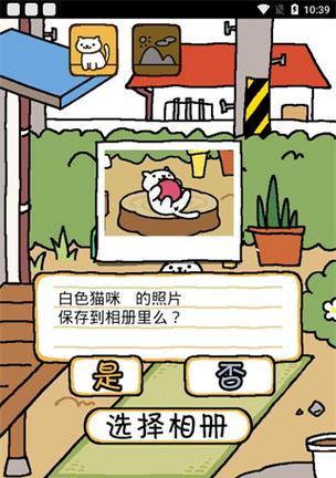 如何在猫咪后院游戏中破解存档获取无限金鱼干？  第1张