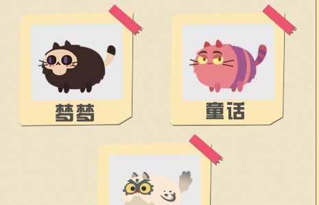 猫咪公寓日常操作手册怎么用？常见问题有哪些解决方法？  第3张