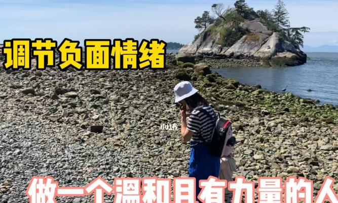 一小时人生养羊技巧有哪些？如何快速掌握养羊技能？  第2张