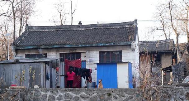 一小时人生养羊技巧有哪些？如何快速掌握养羊技能？  第3张