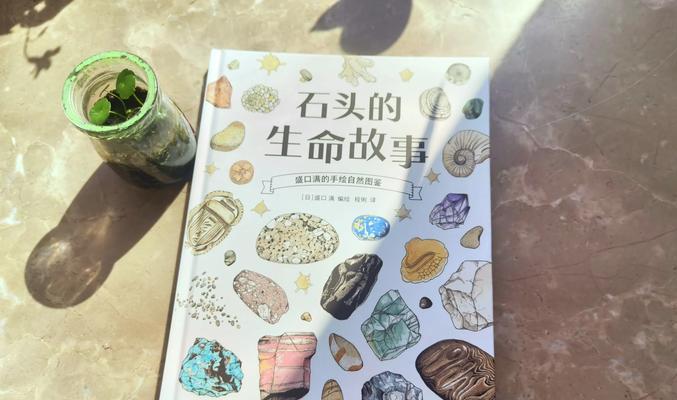 石头爱好者的获取方式是什么？  第3张