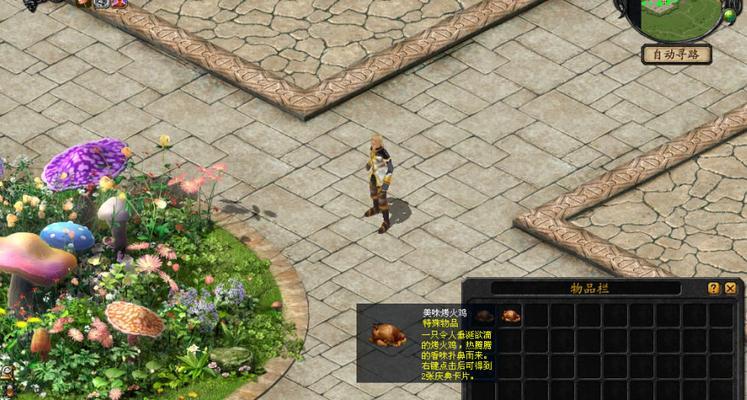 魔域火鸡坐骑如何快速获得？有什么技巧吗？  第1张